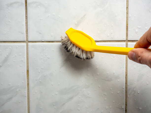Best Mold Removal Company Near Me  in Brookdale, NJ