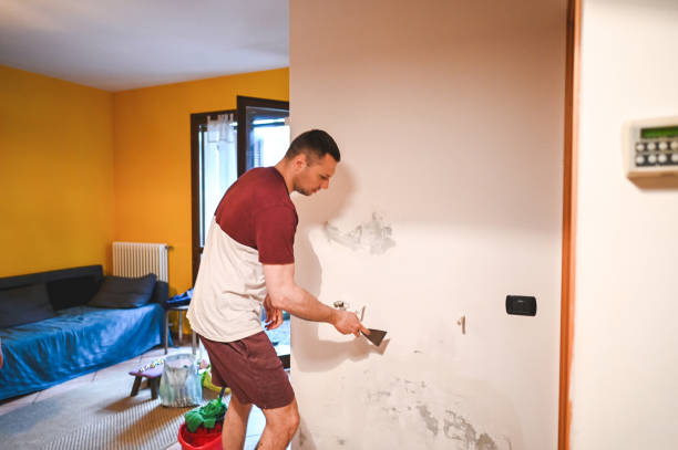 Attic Mold Removal in Brookdale, NJ